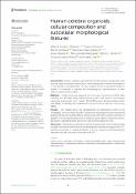 Human cerebral organoids: cellular composition and subcellular ...